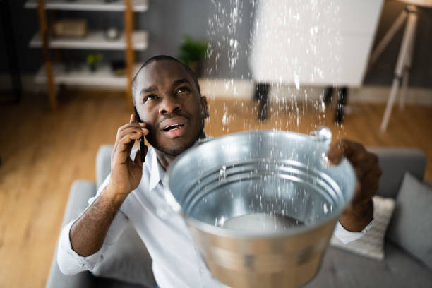 Best Fire Damage Restoration  in Burney, CA