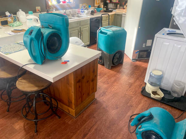 Best Local water damage restoration  in Burney, CA