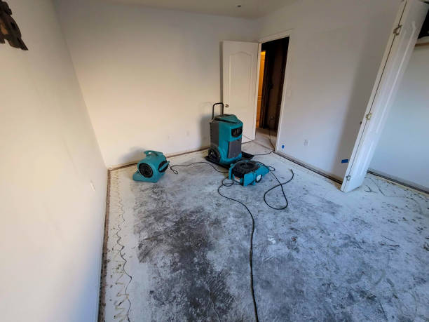 Best Professional water damage repair  in Burney, CA