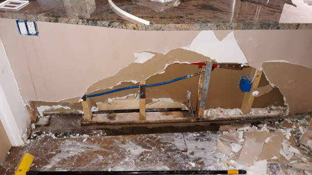 Best Basement water damage restoration  in Burney, CA