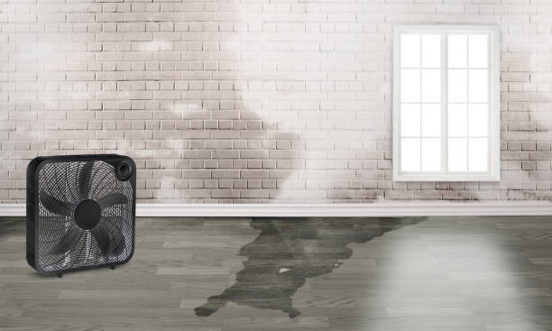 Best Residential water damage restoration  in Burney, CA