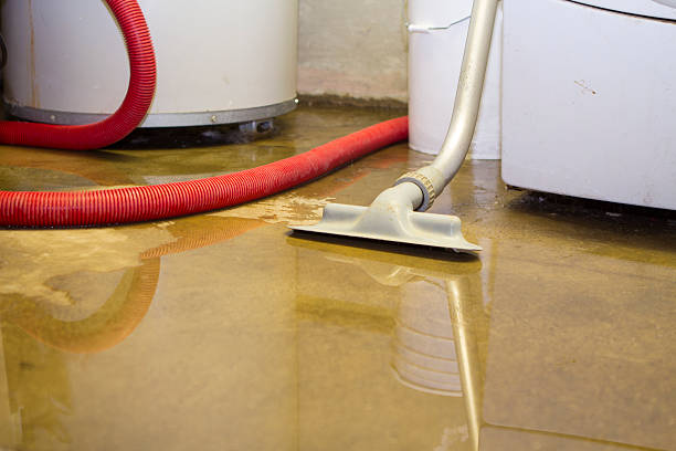 Best Water damage restoration specialists  in Burney, CA
