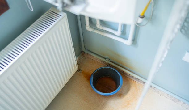 Best Carpet water damage restoration  in Burney, CA