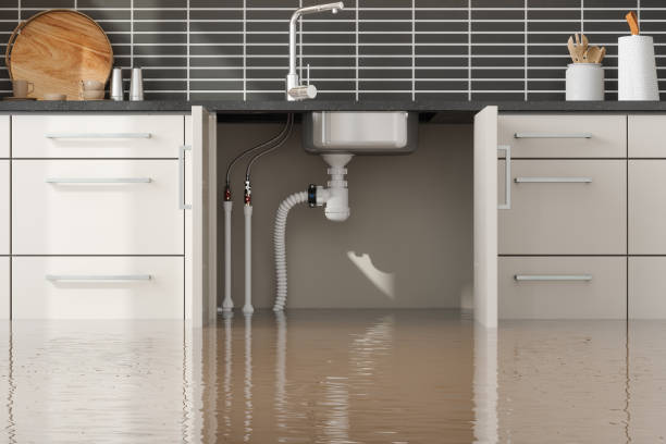 Best 24/7 water damage repair  in Burney, CA