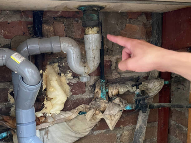 Best Sewage cleanup and water damage restoration  in Burney, CA