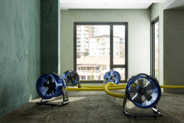 Water damage restoration insurance claims in Burney, CA