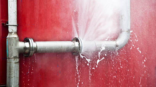 Best Fire Damage Restoration  in Burney, CA